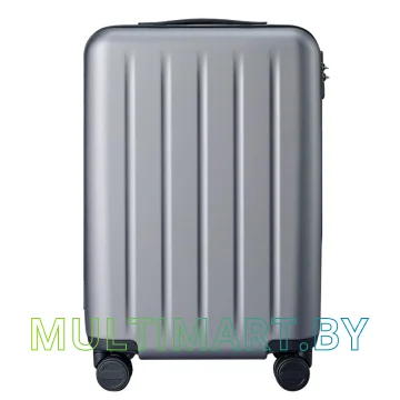Чемодан-спиннер Ninetygo Danube Luggage 20" (серый) картинка 2